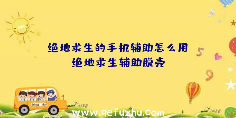 「绝地求生的手机辅助怎么用」|绝地求生辅助脱壳